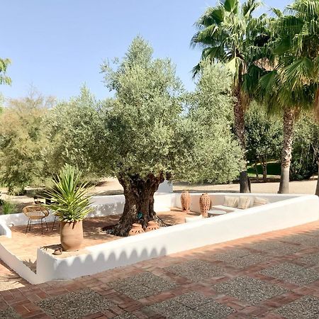 Cortijo Bablou - Maison De Vacances (Adults Only) 阿尔科斯-德拉弗龙特拉 外观 照片