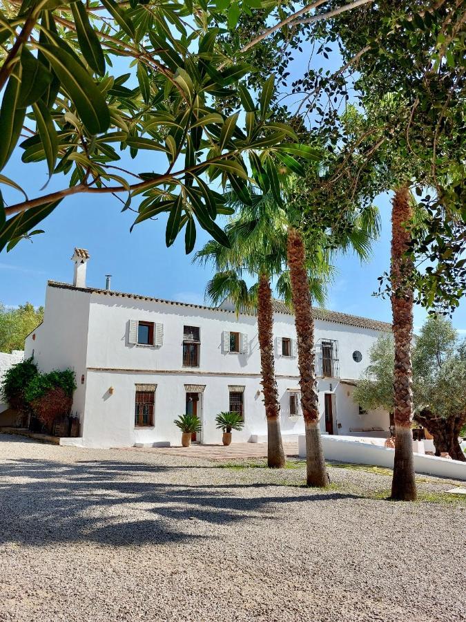Cortijo Bablou - Maison De Vacances (Adults Only) 阿尔科斯-德拉弗龙特拉 外观 照片