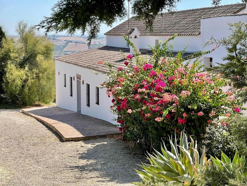 Cortijo Bablou - Maison De Vacances (Adults Only) 阿尔科斯-德拉弗龙特拉 外观 照片