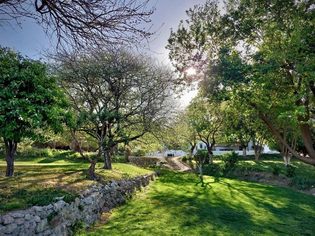 Cortijo Bablou - Maison De Vacances (Adults Only) 阿尔科斯-德拉弗龙特拉 外观 照片