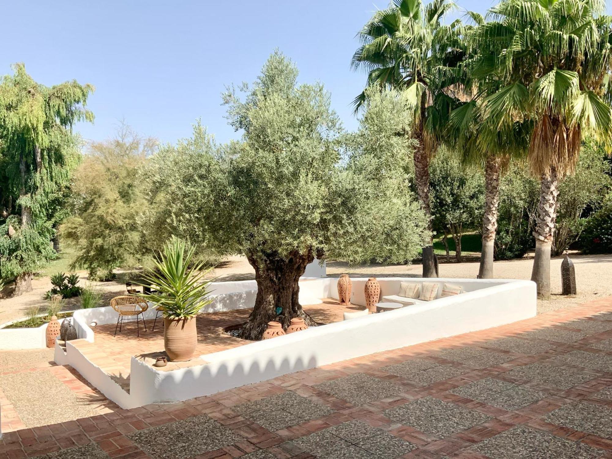Cortijo Bablou - Maison De Vacances (Adults Only) 阿尔科斯-德拉弗龙特拉 外观 照片