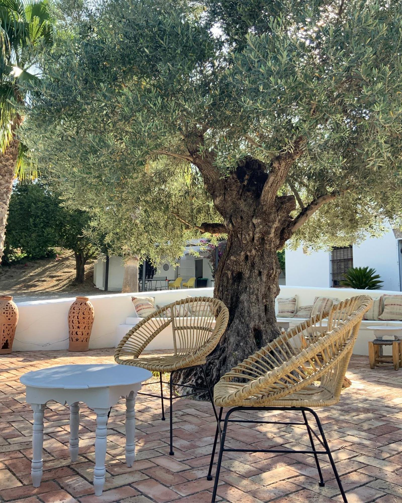 Cortijo Bablou - Maison De Vacances (Adults Only) 阿尔科斯-德拉弗龙特拉 外观 照片